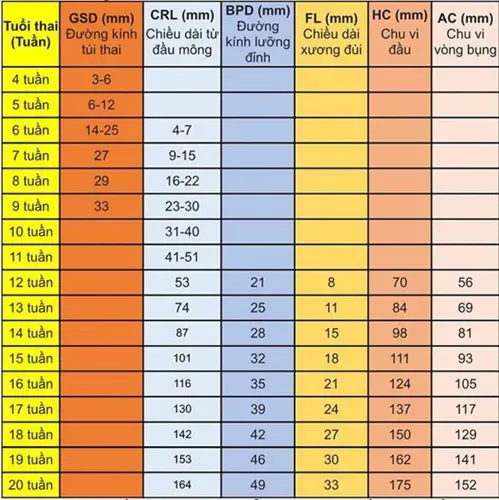 CRL là gì và ý nghĩa chỉ số crl trong kết quả siêu âm mẹ nên biết