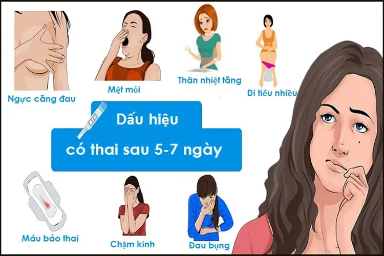 Dấu hiệu có thai sớm – bạn nên biết rõ để chăm sóc sức khỏe tốt hơn