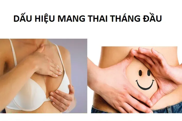 Dấu hiệu mang thai tháng đầu và những vấn đề liên quan bạn cần biết