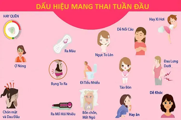 Dấu hiệu mang thai tuần đầu và những điểm cơ bản liên quan chị em cần biết