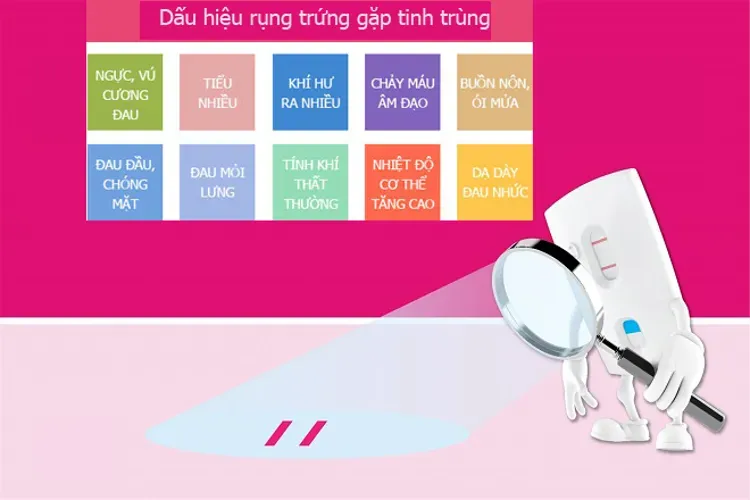 Dấu hiệu rụng trứng và tất cả những điều liên quan chị em nên biết