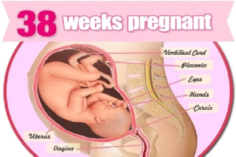 Dấu hiệu sắp sinh con ở tuần 38 và những lưu ý dành cho mẹ bầu