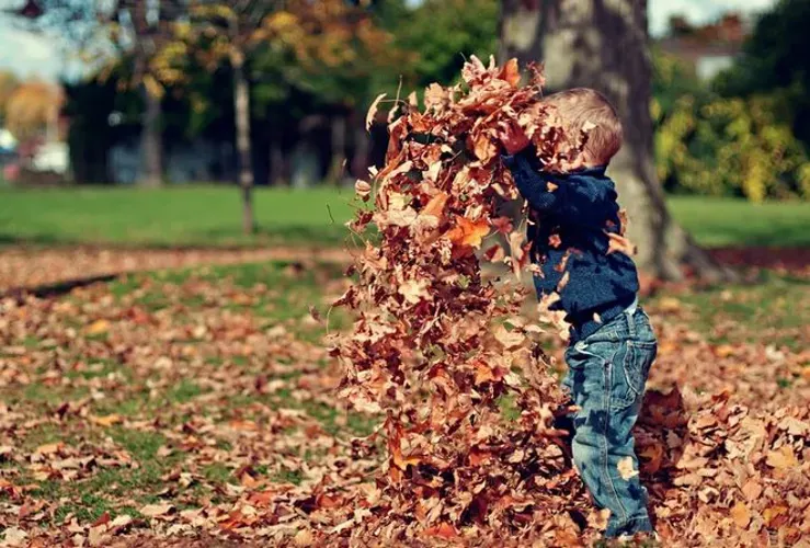 Dạy con 6 tuổi dựa trên những đặc điểm phát triển nào mẹ cần biết