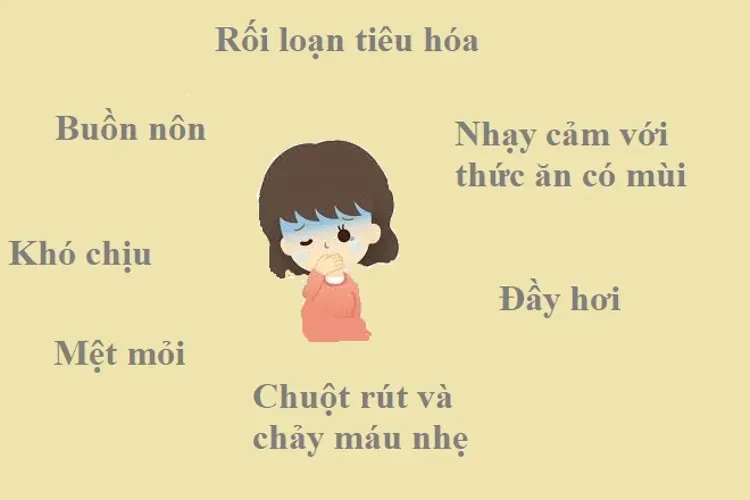 Điểm danh 8 biểu hiện ốm nghén trong giai đoạn thai kỳ của mẹ bầu