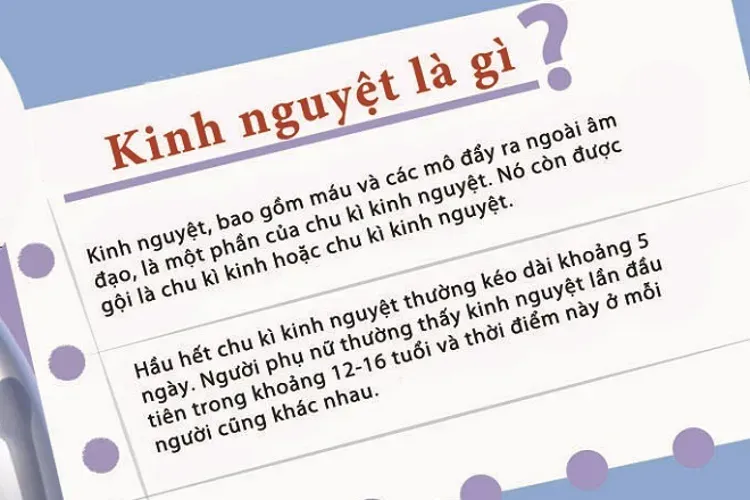 Hiện tượng kinh nguyệt và 3 điều cơ bản nhất mọi chị em cần biết