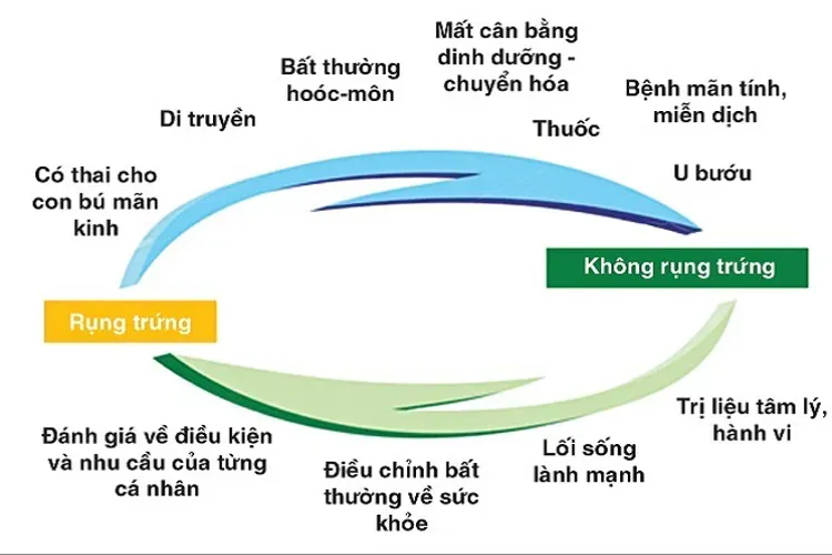 Không thấy biểu hiện rụng trứng – Chị em phụ nữ đừng quá lo lắng