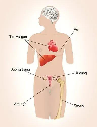 Làm thế nào để dễ thụ thai khi phụ nữ bị rối loạn nội tiết tố?