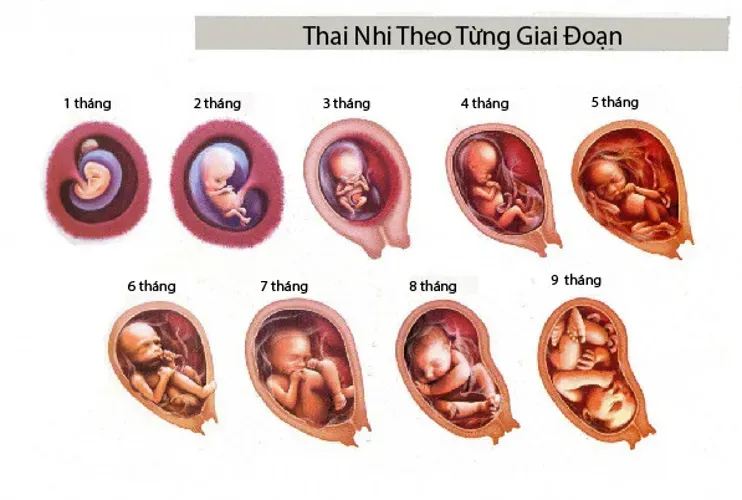 Mang thai lần đầu: Mẹ cần chuẩn bị những gì?