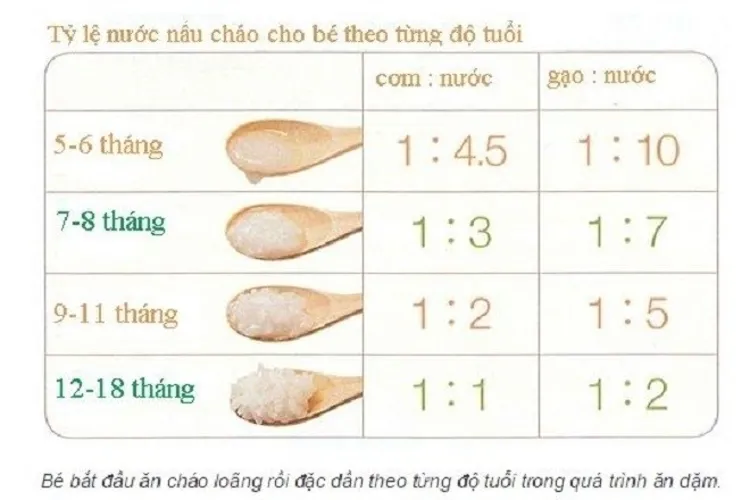 Nấu cháo ăn dặm cho bé với 3 bước cơ bản mẹ nên lưu ý