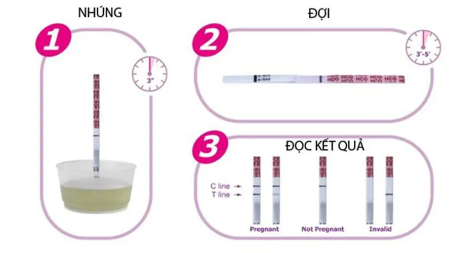 Ngày dễ thụ thai dựa vào thời điểm xác định ngày rụng trứng