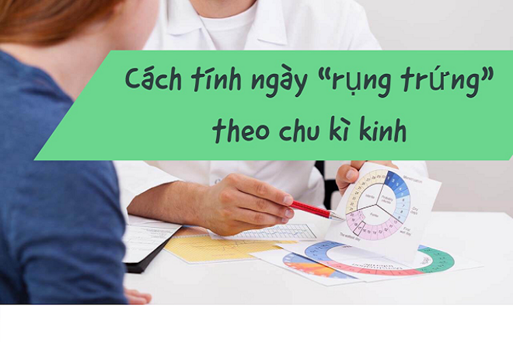 Ngày rụng trứng và 6 ghi chú quan trọng cho mọi chị em phụ nữ