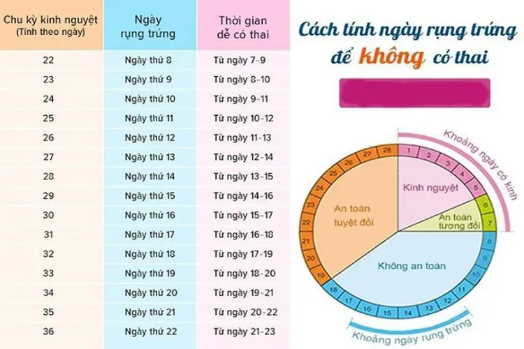 Ngày rụng trứng và tất cả những điều liên quan chị em phụ nữ cần biết