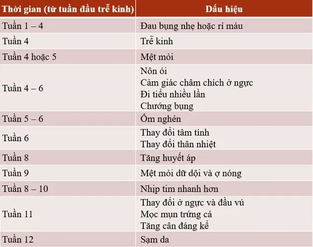 Những dấu hiệu có thai chuẩn nhất bạn hãy tham khảo ngay