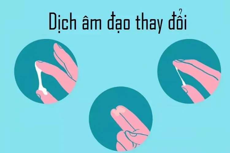 Những dấu hiệu có thai chuẩn nhất bạn hãy tham khảo ngay