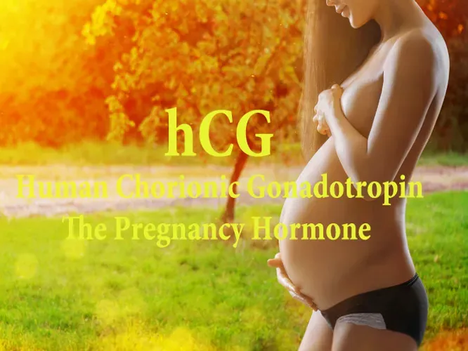 Những dấu hiệu mang thai và hormone hCG