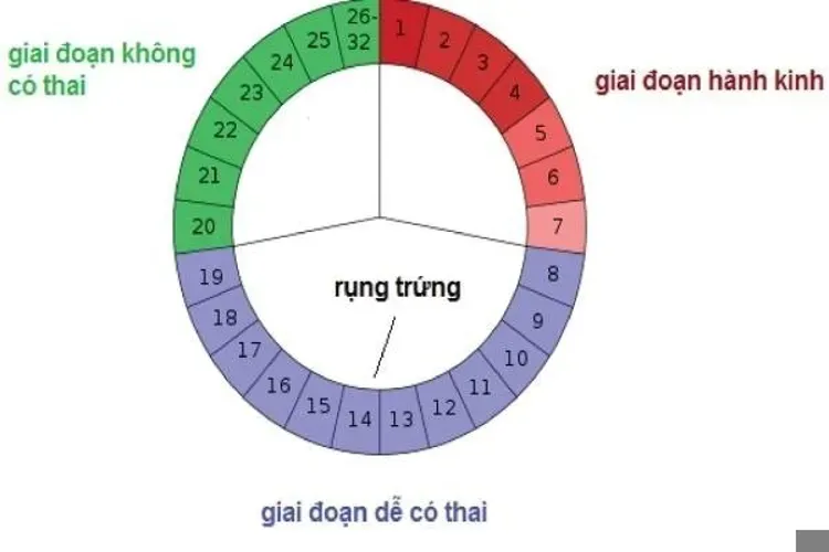 Những điều cần biết khi đi canh trứng để thụ thai