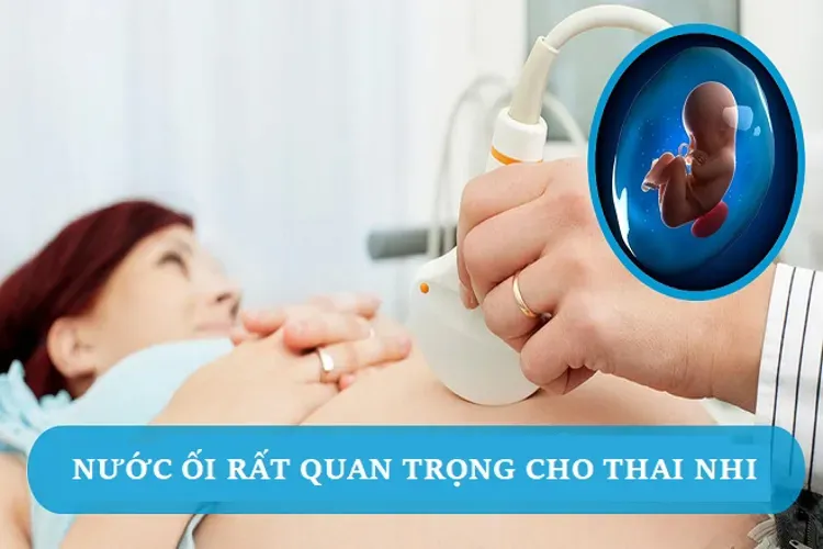 Nước ối và tầm quan trọng của nước ối đối với sự phát triển của thai nhi