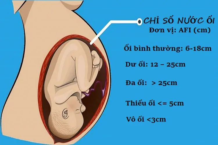 Nước ối và tầm quan trọng của nước ối đối với sự phát triển của thai nhi