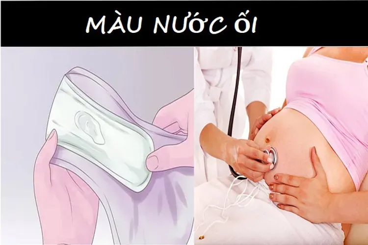 Nước ối và tầm quan trọng của nước ối đối với sự phát triển của thai nhi