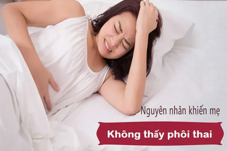 Phôi thai là gì và 4 điều liên quan có thể bạn chưa biết