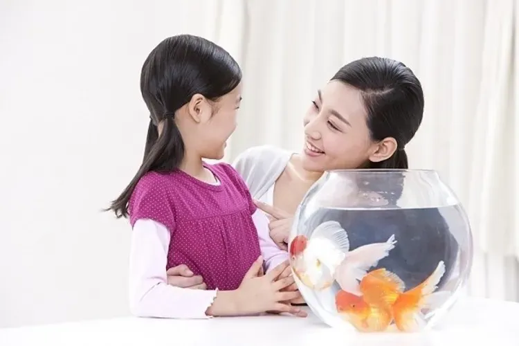 Phương pháp dạy trẻ 3 tuổi vượt qua khủng hoảng đầu đời