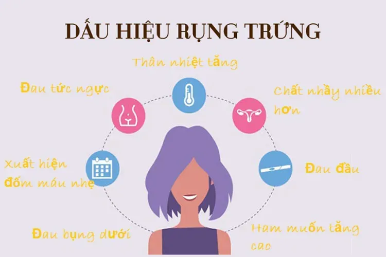 Quá trình rụng trứng và kiến thức cơ bản mọi chị em phụ nữ cần biết