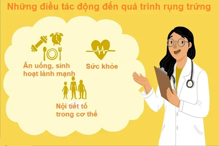 Quá trình rụng trứng và kiến thức cơ bản mọi chị em phụ nữ cần biết