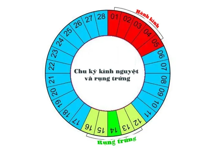 Quan hệ lúc có kinh có thai không và những điều quan trọng liên quan nhất định chị em cần biết