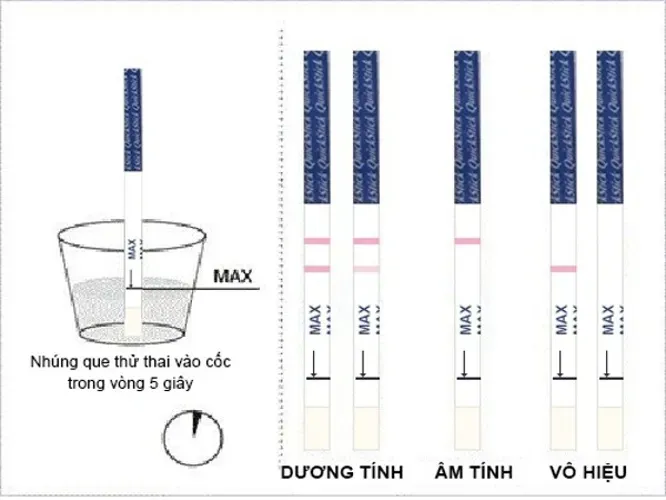 Que thử thai 1 vạch đậm 1 vạch mờ là đã có thai hay chưa?