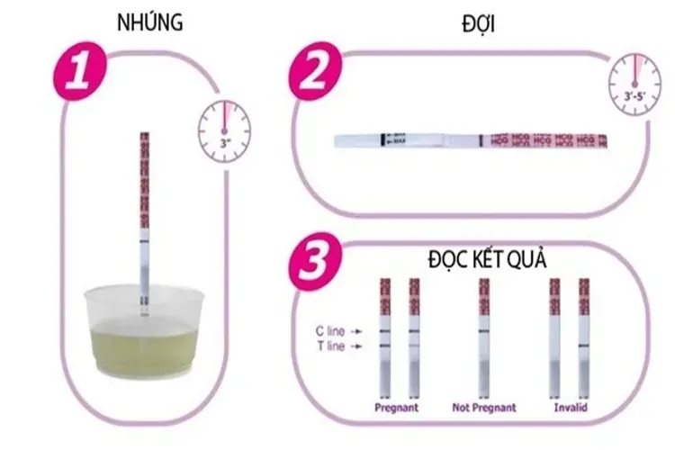 Que thử thai và cách dùng que thử thai chính xác nhất thông qua 2 vạch đậm