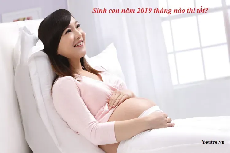 Sinh con năm 2019 tháng nào tốt và những thông tin thú vị dành cho bố mẹ