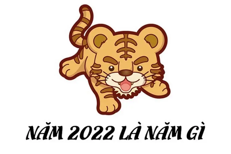 Sinh con năm 2022 và những thông tin hay để bố mẹ tham khảo