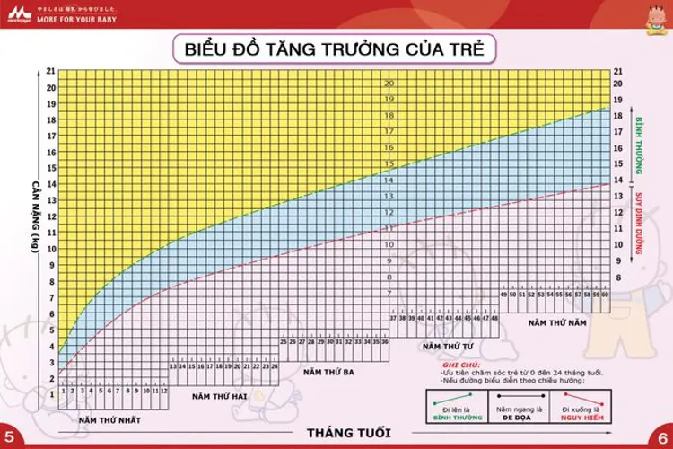 Sơ đồ phát triển của trẻ sơ sinh trong 12 tháng đầu đời