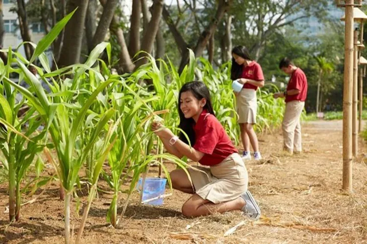 Tâm lý trẻ 10 – 12 tuổi và vai trò của cha mẹ đối với sự phát triển của con