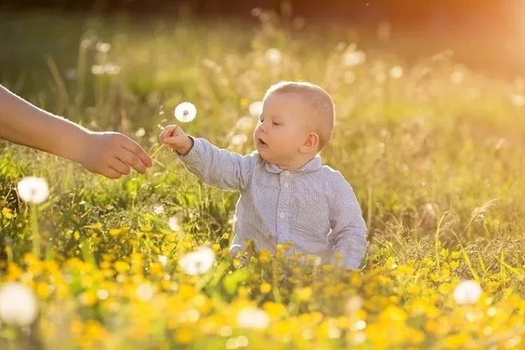 Tăng chiều cao trong 1 ngày cho trẻ – biến điều không thể thành có thể