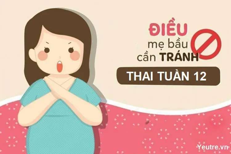 Thai 12 tuần – sự đánh dấu bước phát triển kỳ diệu của thai nhi