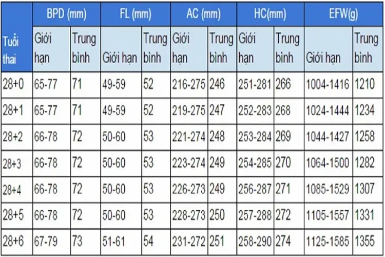 Thai 28 tuần – sự thay đổi của mẹ và bé cùng những vấn đề liên quan mẹ bầu nên biết