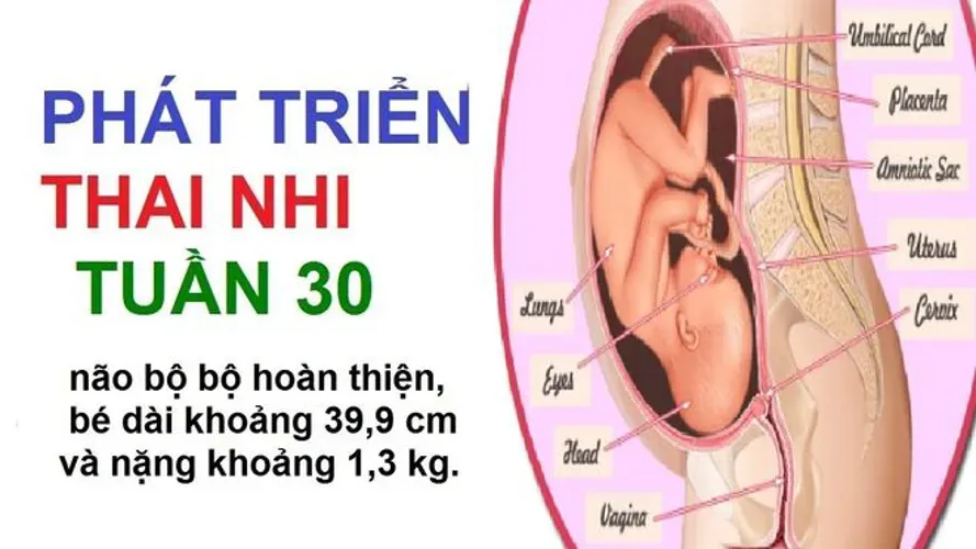 Thai 30 tuần và các bệnh mẹ bầu thường gặp