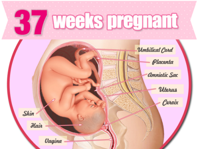 Thai 37 tuần nặng bao nhiêu kg?