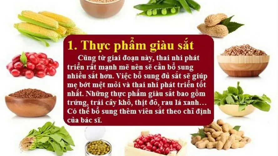 Thai 7 tuần đã phát triển như thế nào trong bụng mẹ?