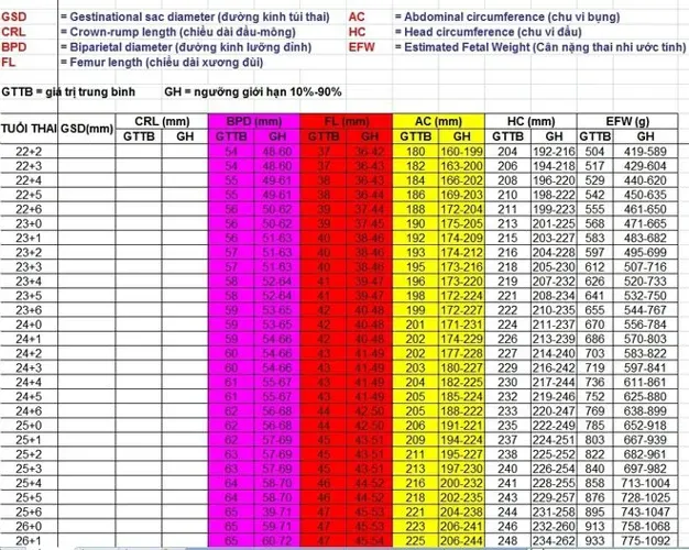 Theo dõi cân nặng chuẩn của thai nhi đơn giản qua tuần tuổi