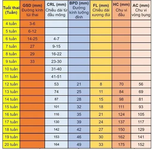 Theo dõi chỉ số thai nhi theo tuần và những điều mẹ bầu cần biết