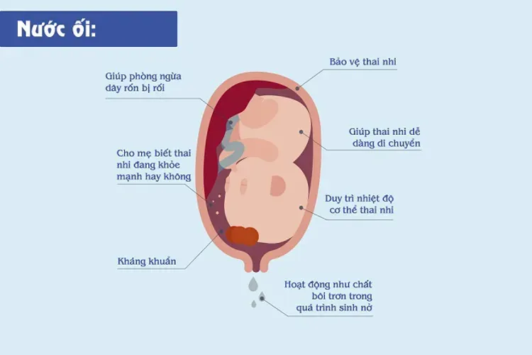 Thiếu nước ối – tình trạng bất thường của thai nhi mẹ bầu nhất định phải quan tâm