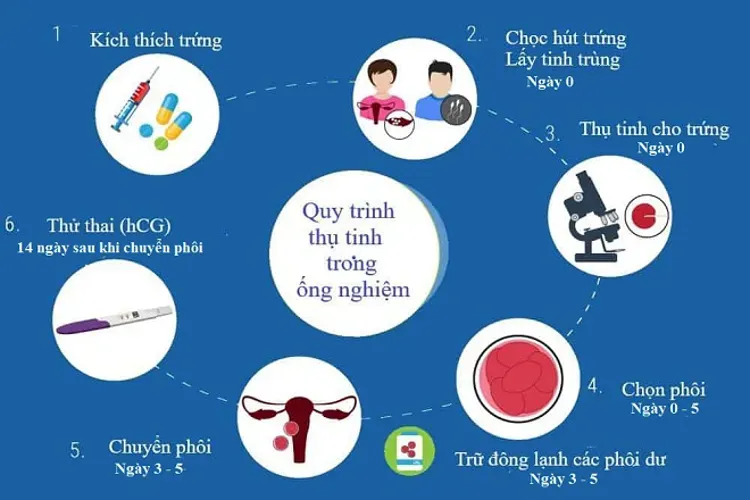 Thụ tinh nhân tạo – niềm hy vọng và món quà quý giá dành cho những cặp vợ chồng hiếm muộn