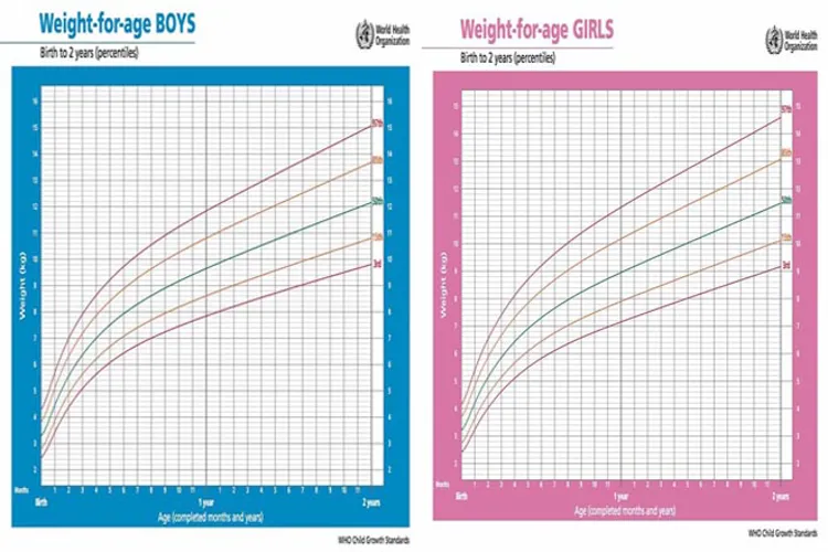 Tiêu chuẩn chiều cao cân nặng của bé và 9 câu hỏi thường gặp