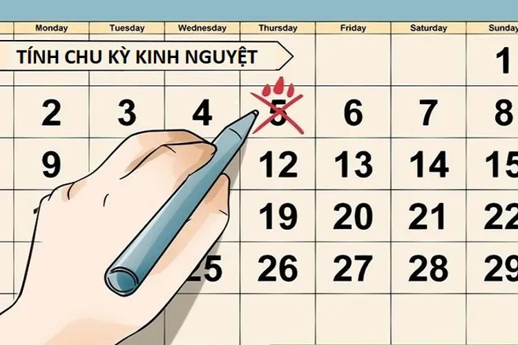 Tính chu kỳ kinh nguyệt và lưu ý chị em nên ghi nhớ