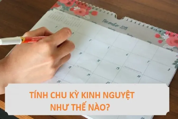 Tính chu kỳ kinh nguyệt và lưu ý chị em nên ghi nhớ