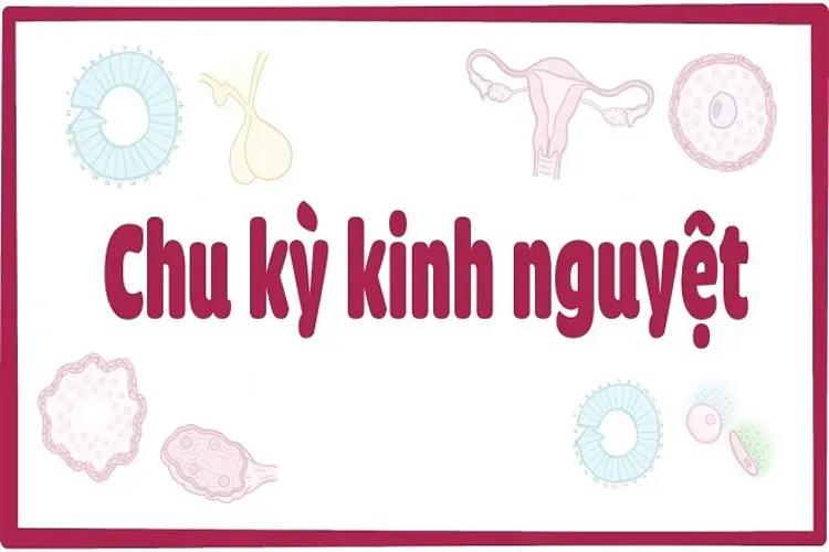 Tính ngày kinh nguyệt chính xác và lợi ích mà chị em nào cũng nên biết