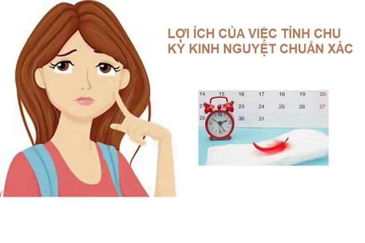 Tính ngày kinh nguyệt chính xác và lợi ích mà chị em nào cũng nên biết