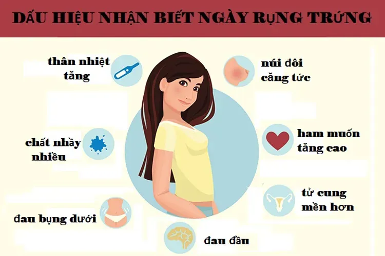 Tính ngày rụng trứng qua 2 phương pháp đơn giản nhất chị em nào cũng nên biết